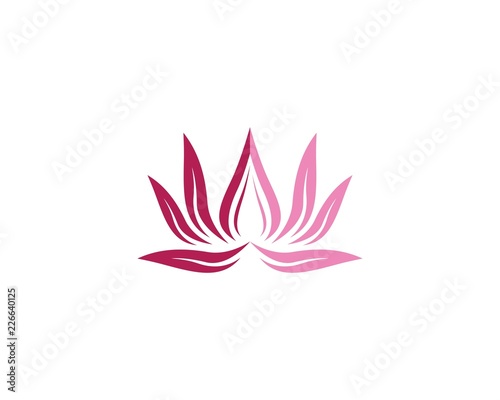 Lotus logo illustration