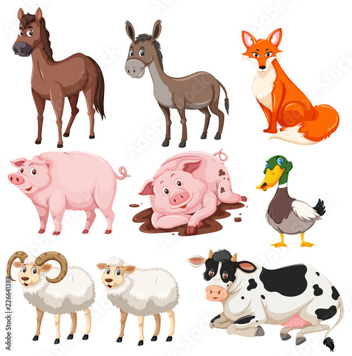 Set of farm animals © brgfx