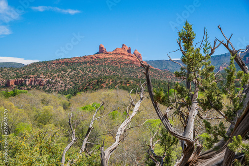 Φωτογραφία Landscape in Sedona