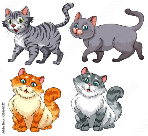 Set of diffrent cat charater