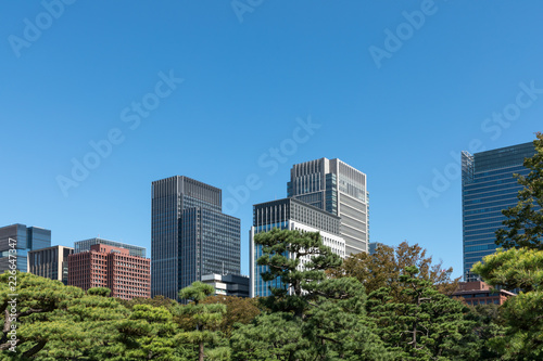 (東京都ｰ都市風景)内堀通り側から望む丸の内オフィスビル１６