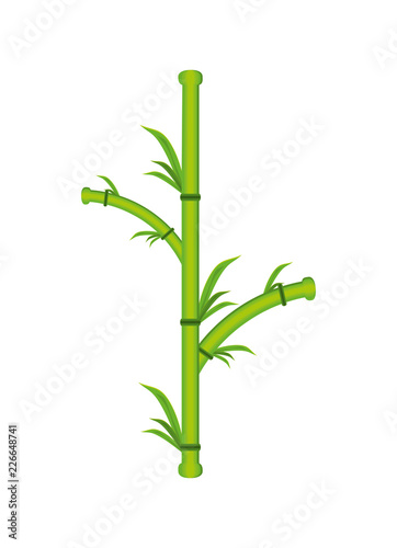 bamboo plant natural icon