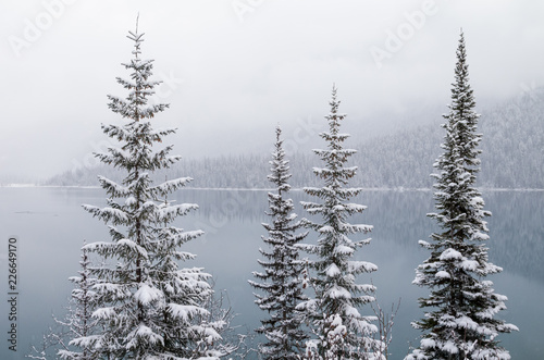 Fresh Snowfall on Perfect Trees by Mountain Lake