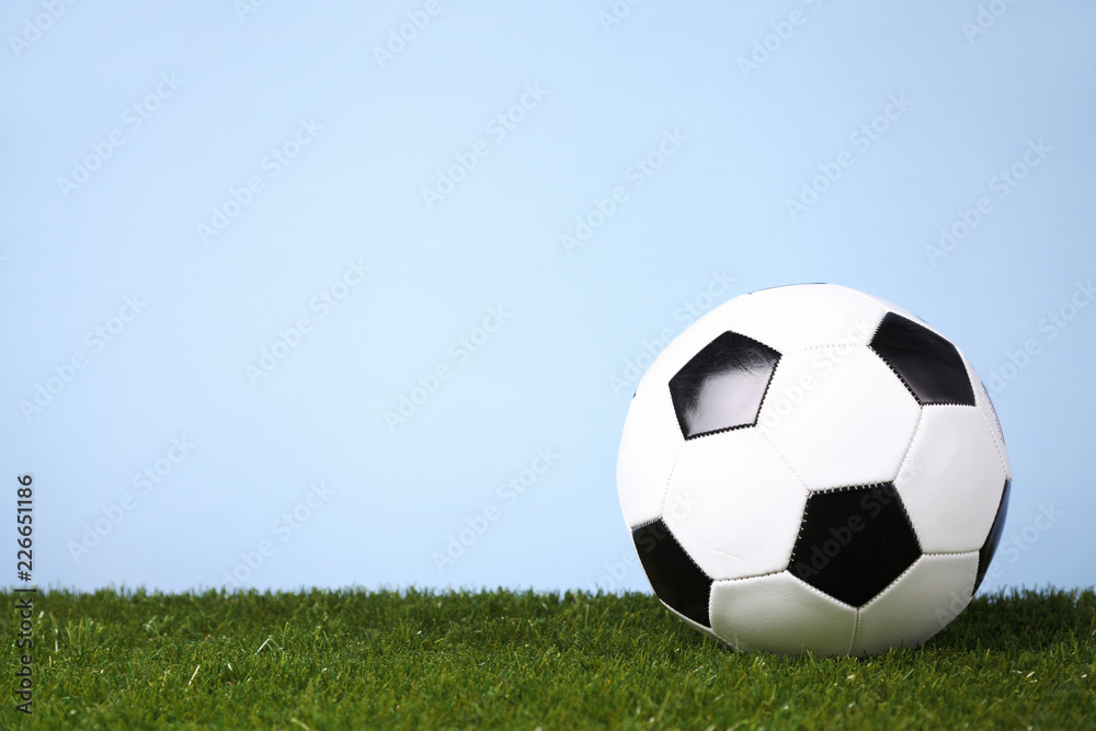 Fototapeta premium Soccer ball on green grass