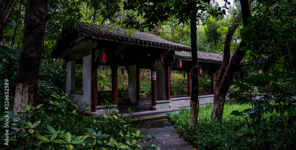 Captured in Hangzhou Xixi Wetland scenery Captured in Hangzhou Xixi Wetland scenery