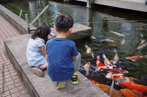 鯉に餌をあげる子供