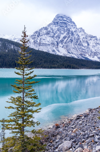 Single Evergreen Tree By Frozen Mountain Lake