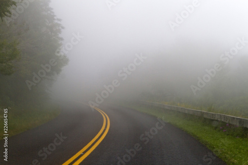 Foggy Winding Forest Road