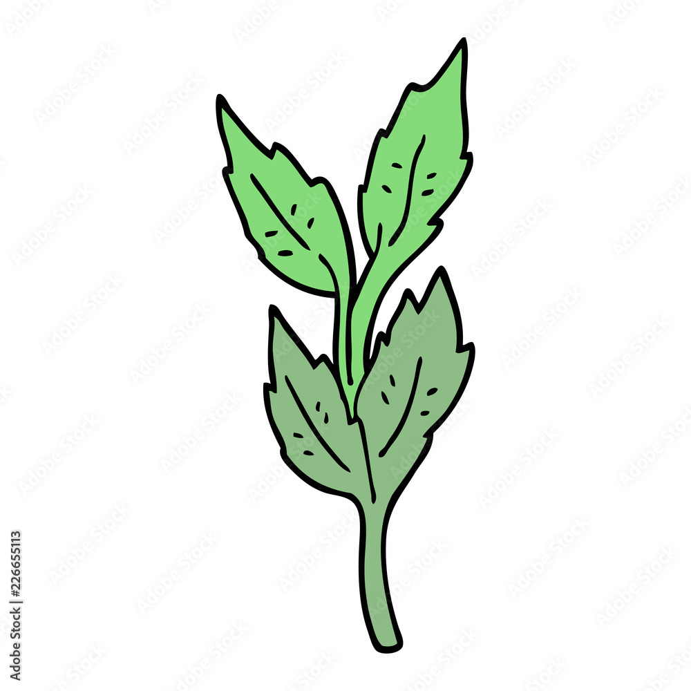 cartoon doodle leaves
