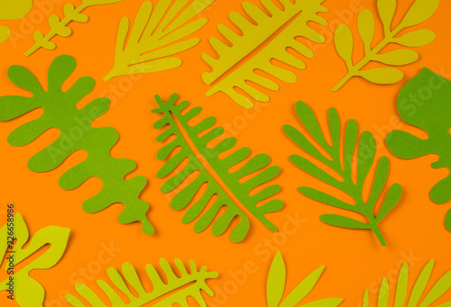 Green leaves made from paper on orange background