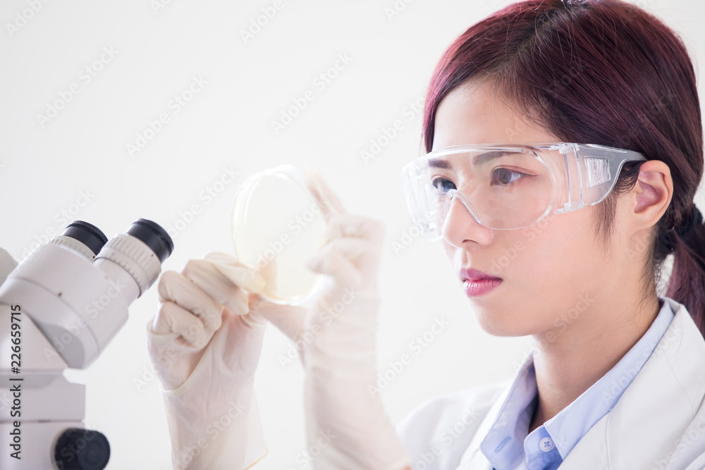woman scientist take petri dish woman scientist take petri dish