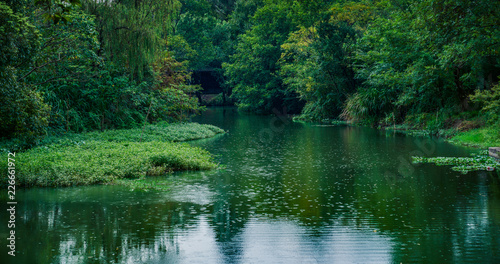 Captured in Hangzhou Xixi Wetland scenery