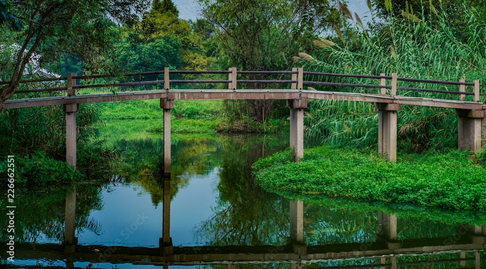 Captured in Hangzhou Xixi Wetland scenery Captured in Hangzhou Xixi Wetland scenery