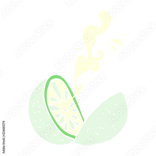 flat color illustration of a cartoon melon