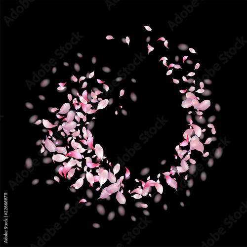 Fototapeta Naklejka Na Ścianę i Meble -  Abstract Flying Petals