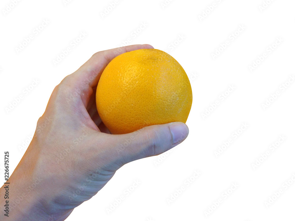 Hand holding orange isolated on white background with clipping path Hand holding orange isolated on white background with clipping path