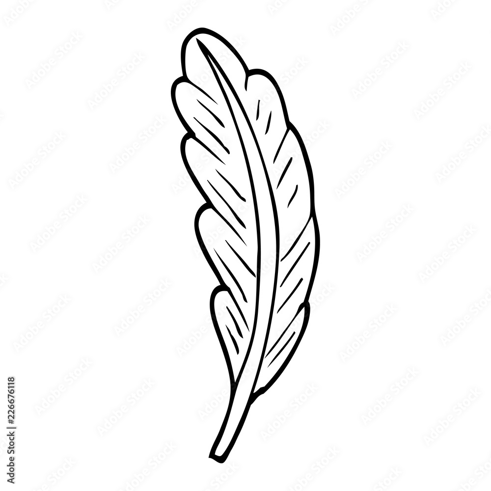 line drawing cartoon bird feather Stock Vector | Adobe Stock