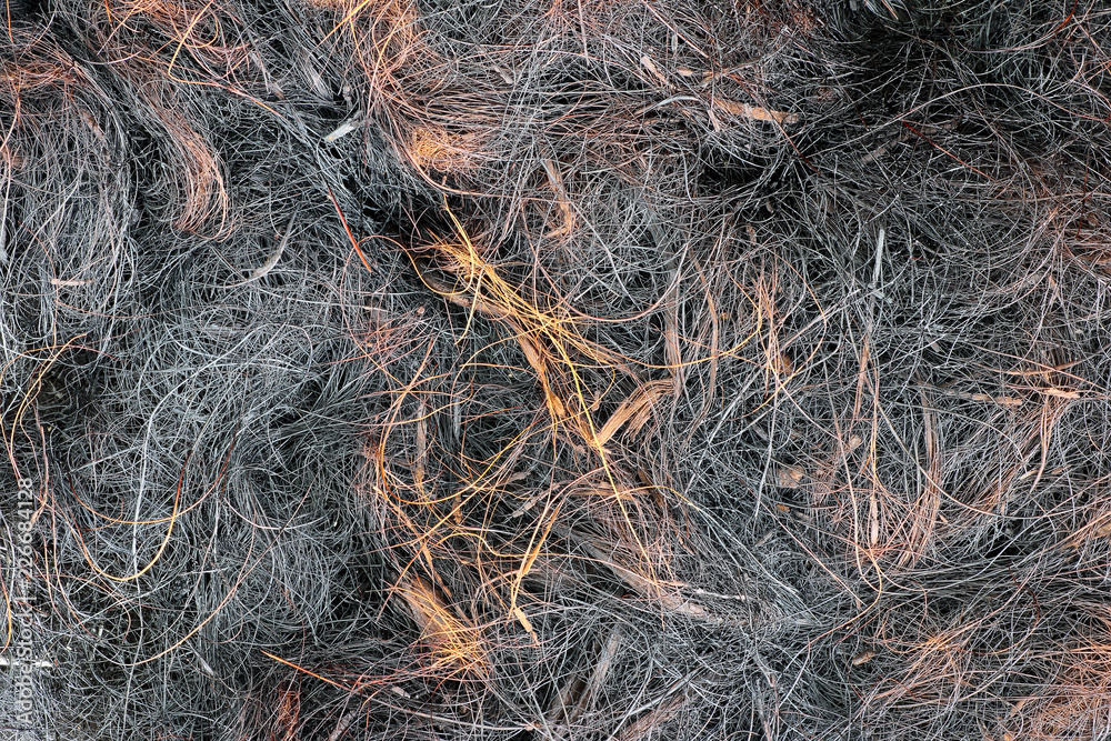 Background from the ashes of the burnt grass. after the fire burned. Background from the ashes of the burnt grass. after the fire burned.