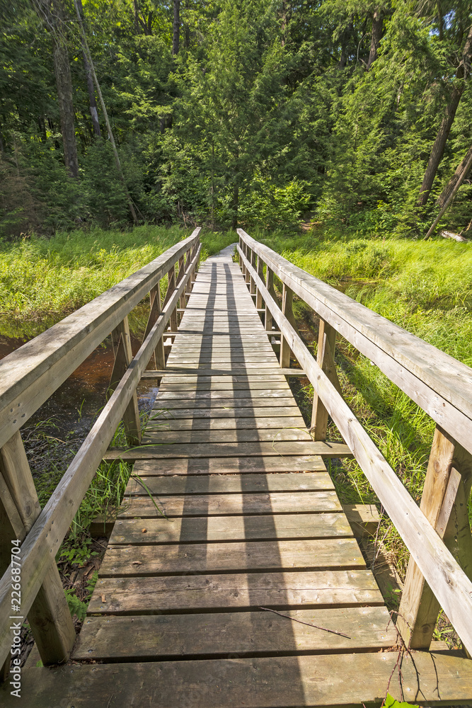 Wooden Footbridge on a Wilderness Path Wooden Footbridge on a Wilderness Path