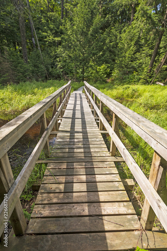 Wooden Footbridge on a Wilderness Path