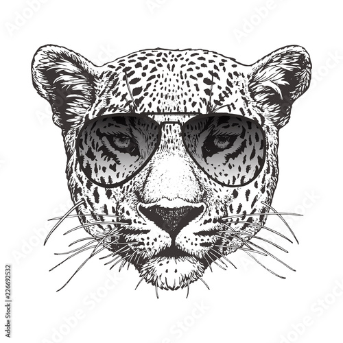 Portrait of Leopard with sunglasses, hand-drawn illustration, vector