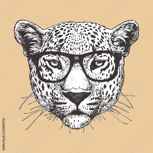 Portrait of Leopard with glasses, hand-drawn illustration, vector