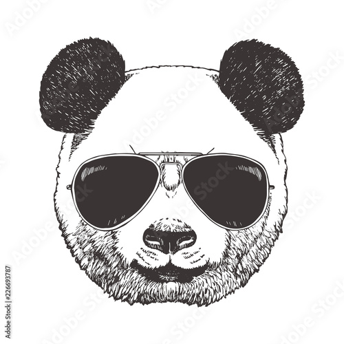 Portrait of Panda with glasses, hand-drawn illustration, vector