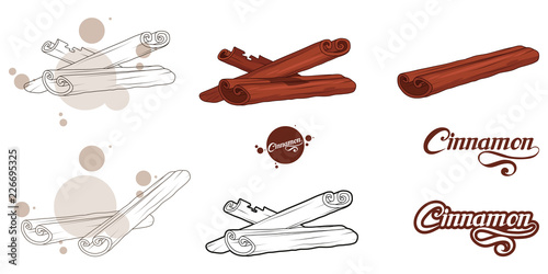 hand drawn cinnamon sticks, spicy ingredient, cinnamon logo, healthy organic food, spice cinnamon on white background, culinary herbs, label, food, natural healthy food, vector graphic to design