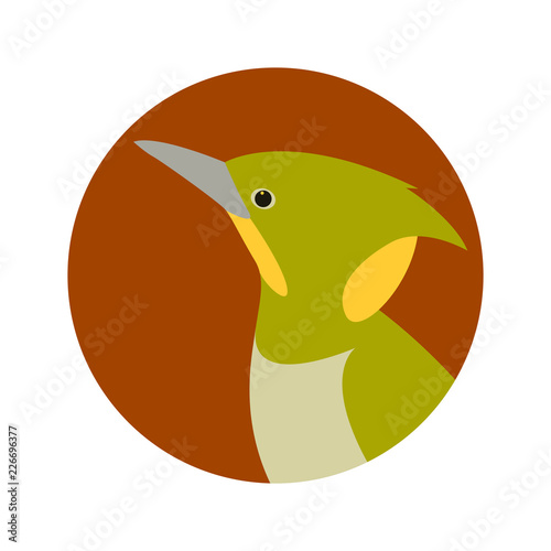 woodpecker  head vector illustration flat style profile