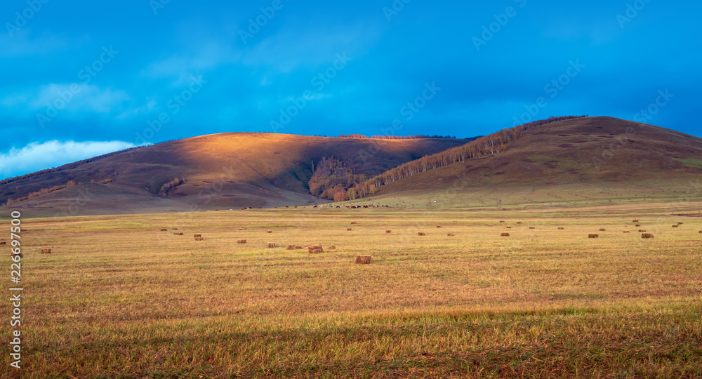 Grassland dusk landscape