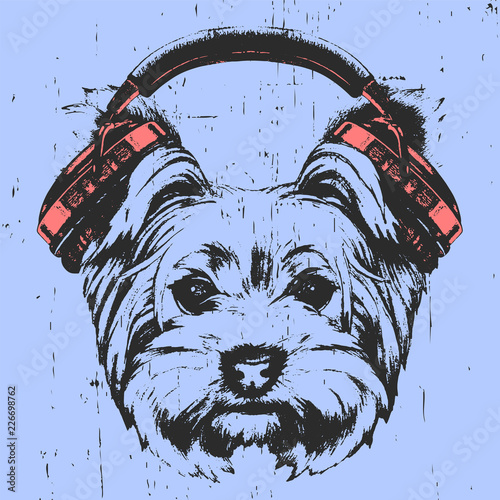 Portrait of Yorkshire Terrier Dog with headphones, hand-drawn illustration