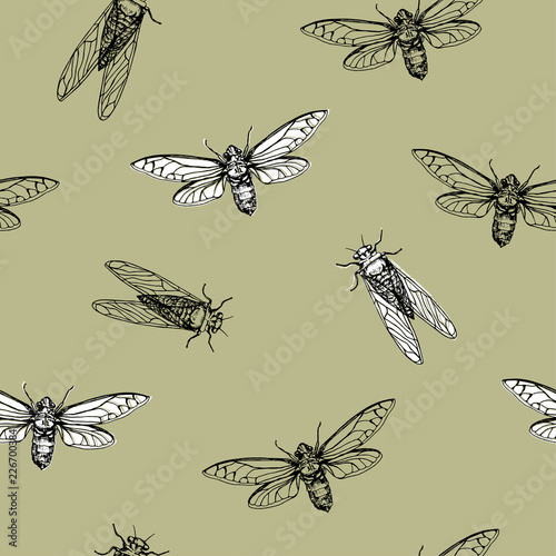 Vector illustration. Cicadas . Vector pen style sketch. Element of seamless pattern. Paper design. © Milana