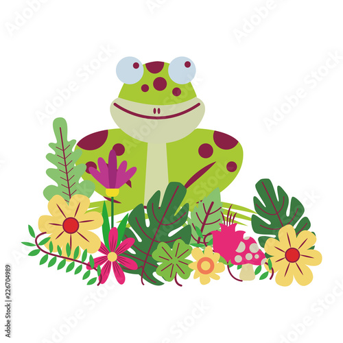 frog cute cartoon