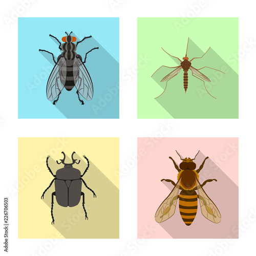 Isolated object of insect and fly logo. Collection of insect and element stock symbol for web.