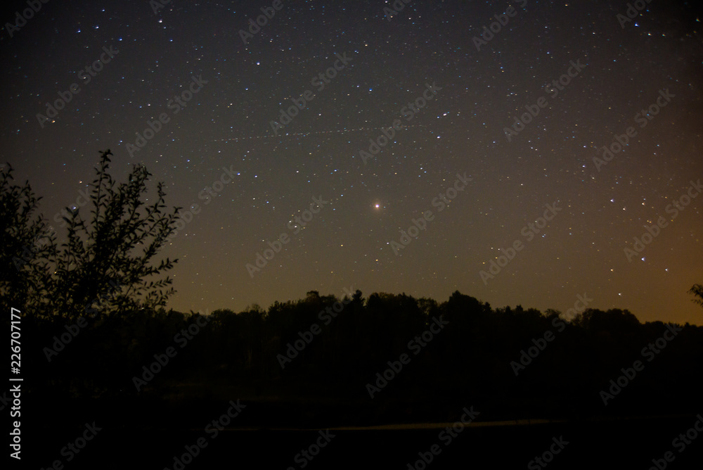 Mars surround by stars rises over the forest at night Mars surround by stars rises over the forest at night