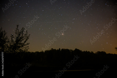 Mars surround by stars rises over the forest at night