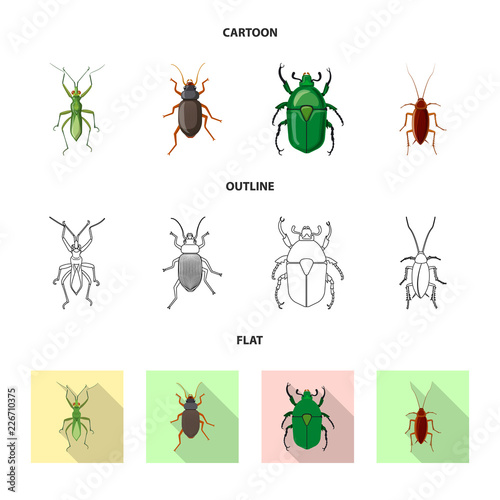 Vector illustration of insect and fly symbol. Set of insect and element vector icon for stock.