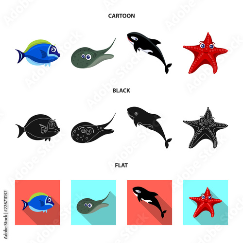 Vector illustration of sea and animal icon. Set of sea and marine stock vector illustration.
