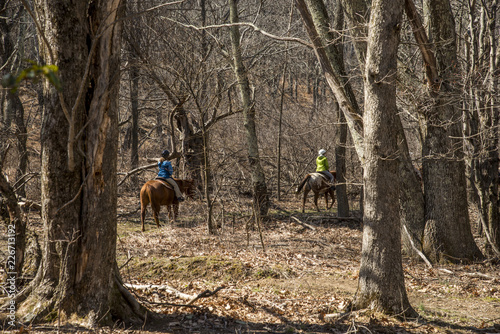 Skyline drive, Virginia, USA - April 12, 2018: Horse riding group on a trail in the woods