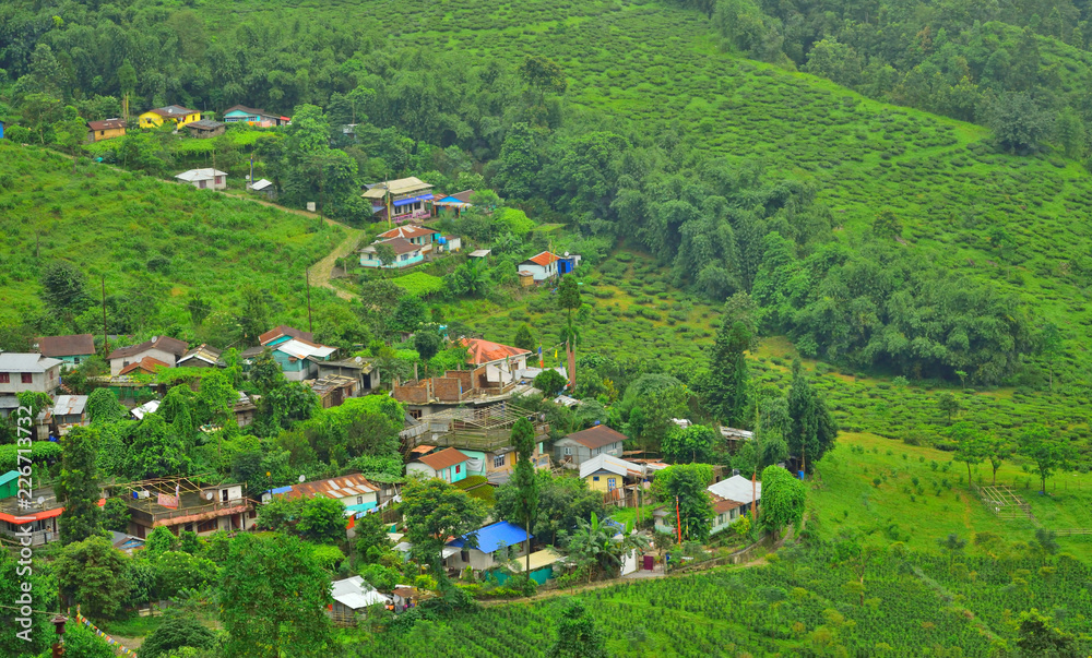 A small village in the midst of mountains in singbulli tea gardens near Mirik.