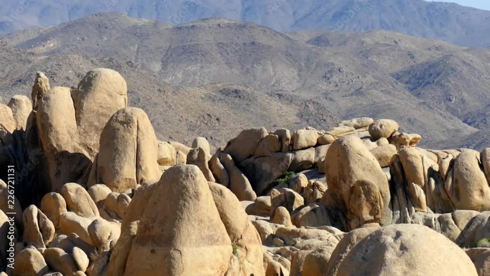 The Joshua Tree National Park in southeastern California, USA, 2017 The Joshua Tree National Park in southeastern California, USA, 2017