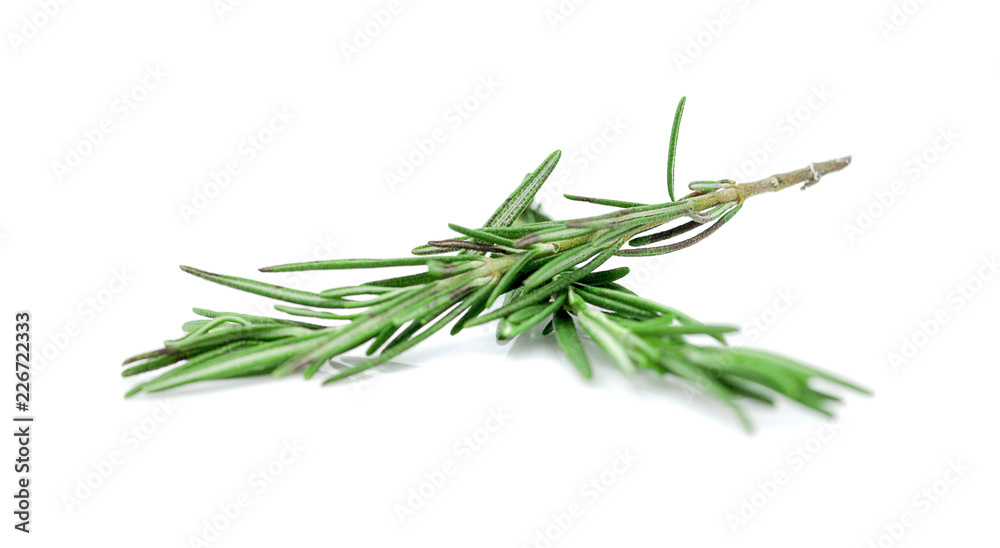 Rosemary isolated on white background Rosemary isolated on white background