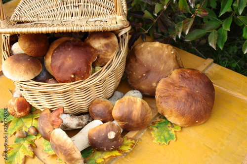 Świeżo zebrane borowiki wokół wiklinowego kosza pełnego grzybów, w tle żółte, drewniane deski