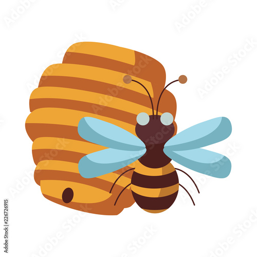 Honeycomb and bee