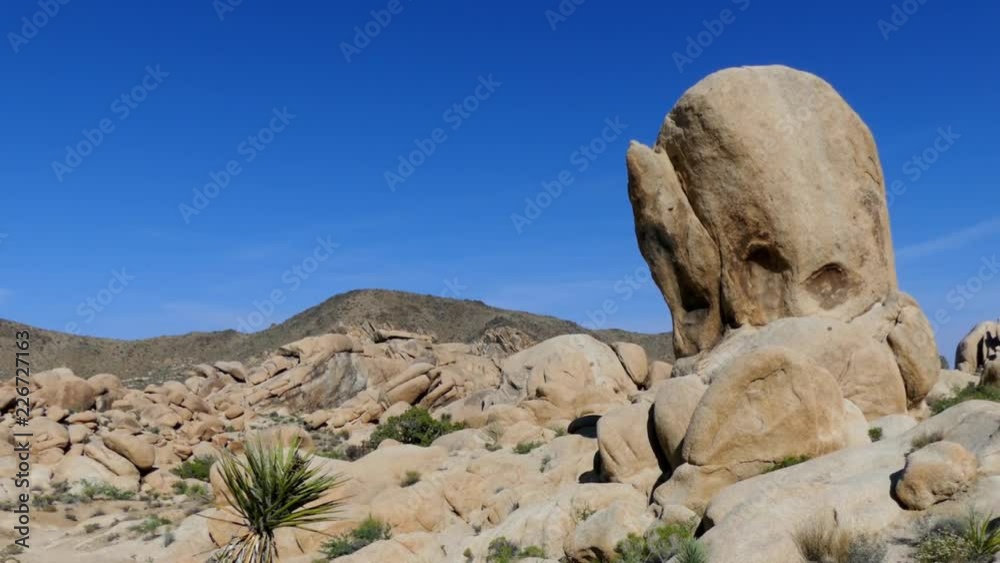 The Joshua Tree National Park in southeastern California, USA, 2017 The Joshua Tree National Park in southeastern California, USA, 2017