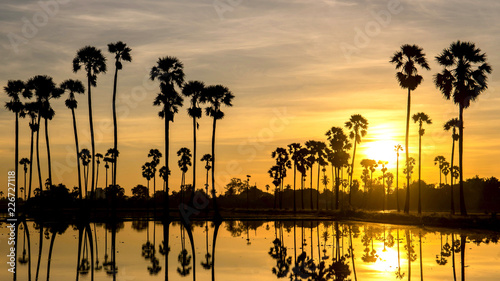 beautiful sunset reflection of silhouettes Palm tree , landscape thailand