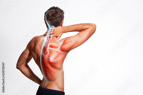 Man's back muscle and body structure. Human body view from behind isolated on white background.