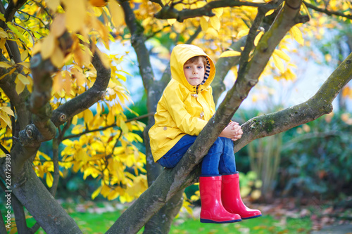 little kid boy in colorful clothes enjoying climbing on tree on photo