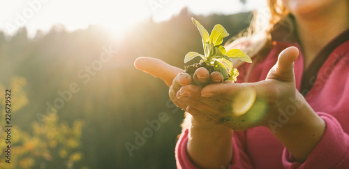 Woman hands planting a seed during sunny day in backyard garden