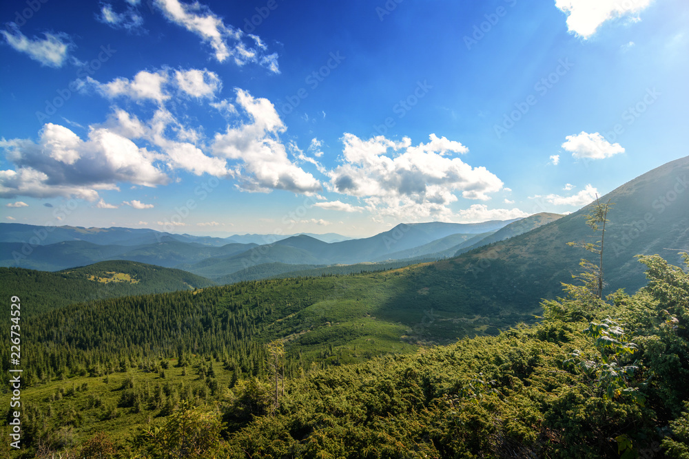 Fototapeta premium View while climbing Mount Hoverla. View of the mountain, forests and clouds. Ukrainian Carpathians. Mountain ranges of Montenegro